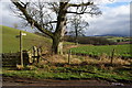 NY5343 : Footpath to Dale by Bill Boaden