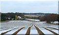 Crops under cover, Copt Hill Farm