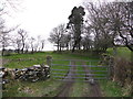 Gate and lane, Broughderg