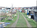 Allotments - Cross Lane