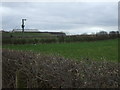 Farmland, Gleadthorpe Grange