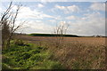 Artificial mound in field