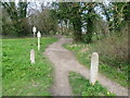 Path on to Ditton Common