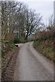 West Somerset : Stone Lane