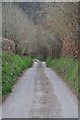 West Somerset : Stone Lane