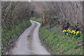 West Somerset : Stone Lane