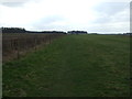 Footpath towards Welbeck Abbey