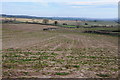 Arable land near Parc-gwyn