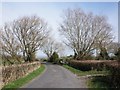 Pill Road, near Pilrow Farm