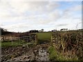 Muddy field gateway