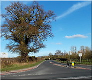 SO3148 : Western end of the A4112 south of Eardisley by Jaggery