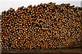 NY1203 : Larch Pile From Clearance on Latterbarrow, Cumbria by Peter Trimming