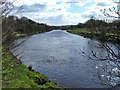 The River Clyde near Parkhead