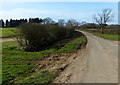 Holygate Road towards Wills Farm