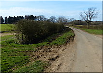 SK8302 : Holygate Road towards Wills Farm by Mat Fascione