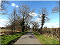 TM3592 : Willow Lane, Ellingham by Geographer