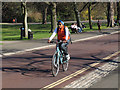 Adult cyclist in Greenwich Park