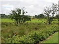 Farmland, Edenbane Road