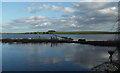 Flooded Fields near Muchelney