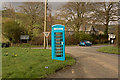 Bray Leino adopt a telephone kiosk in Filleigh