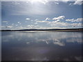 NT6479 : Coastal East Lothian : Pause For Reflection, Belhaven Sands by Richard West