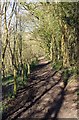 Footpath to Over Norton