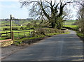 Wing Road south of Manton