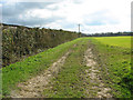 Track into fields by Grove Farm