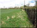 Field beside Station Road