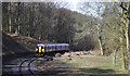 SO6204 : Dean Forest Railway by Stuart Wilding