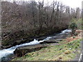 White water in the Aman near Cwmaman