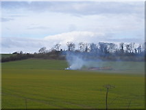 TQ0393 : Something burning near Woodoak farm by Bikeboy