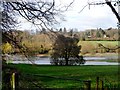 Flooded fields in the Misbourne valley