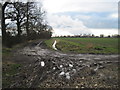 Novey  Lane  (track)  with  Drax  Powerstation  beyond.