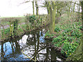 Ditch by Thorpe Hall