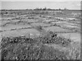 Disused WW2 airfield hardstanding