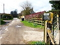 Road becomes bridleway at Chawton Park Farm