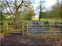 SU6837 : Bridleway to Chawton Park Farm by Shazz