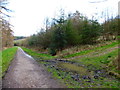 Bridleway going east through Chawton Park Wood