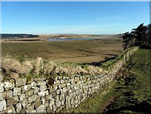 NY7868 : Hadrian's Wall at Housesteads Crags by Andrew Curtis