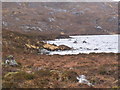 NG9483 : The northern end of Fionn Loch's eastern prong south of Little Gruinard River near Gairloch by ian shiell