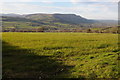 View to the Black Mountains