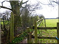 Mast at Medstead seen from footpath and byway junction