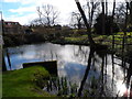 Pond near Little Missenden