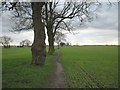 Field  footpath  south  to  Oxen  Lane  (track)