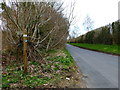 Footpath junction on Chawton Park Road