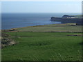 Coastal farmland, Boulby