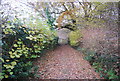 Footpath by Upper Quell Copse