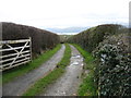 The drive to Tyddyn Isaf