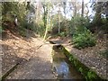 Branksome Chine Gardens, footbridge